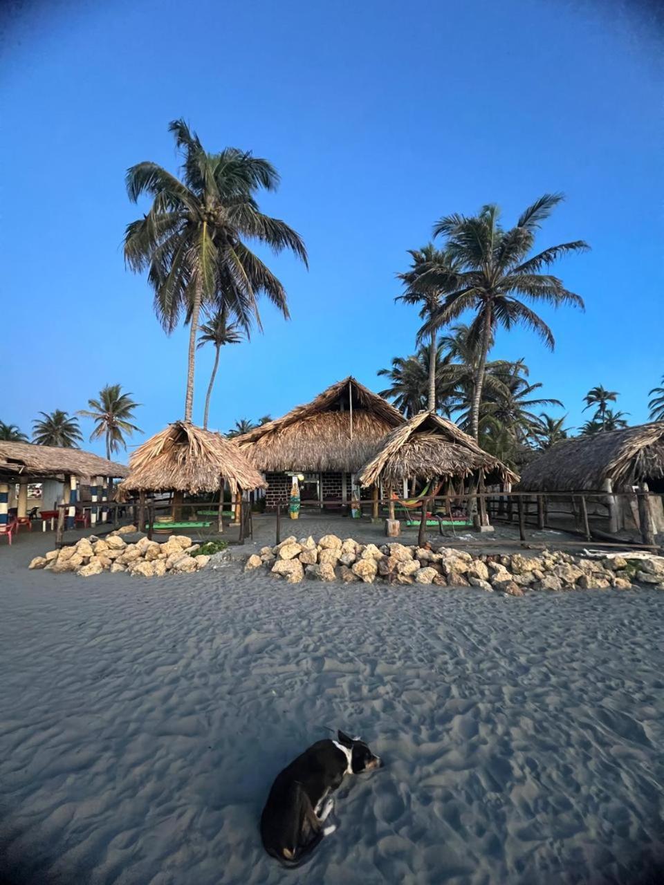 Antara Del Mar Hotel Сан Бернардо дел Виенто Екстериор снимка